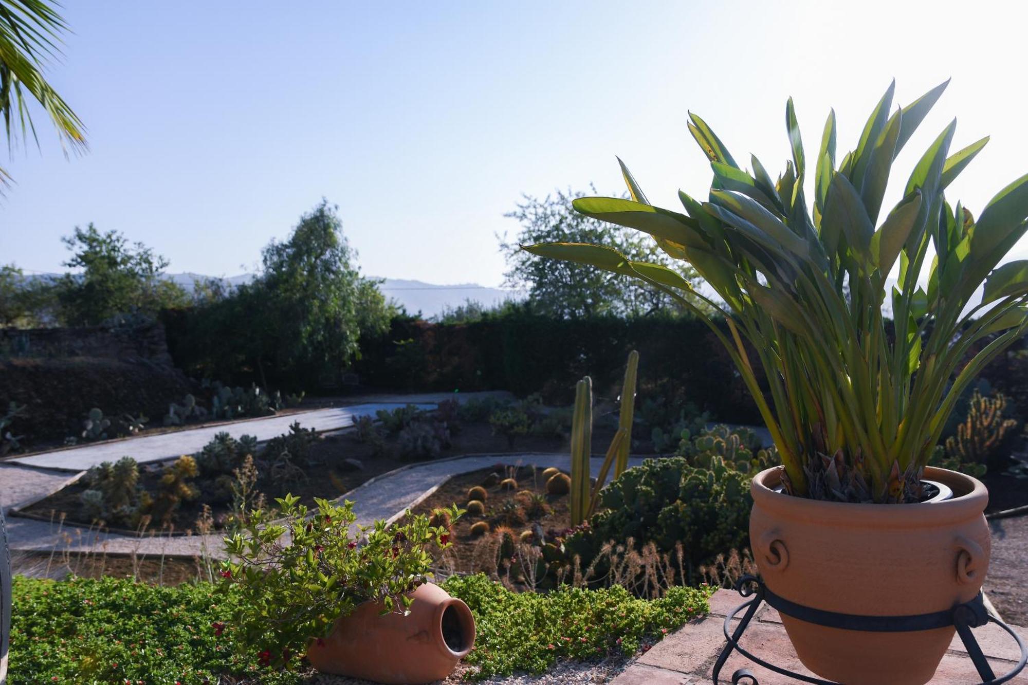Hacienda Riogordo Bed and Breakfast Eksteriør billede